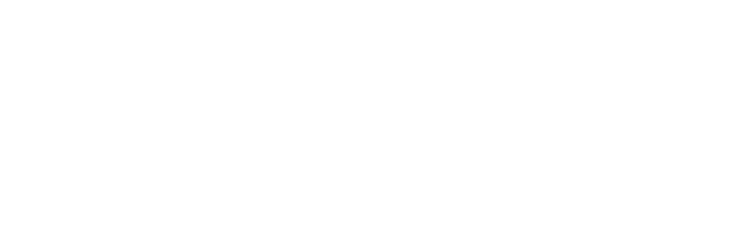 Anthony M. Ortega Law, PLLC